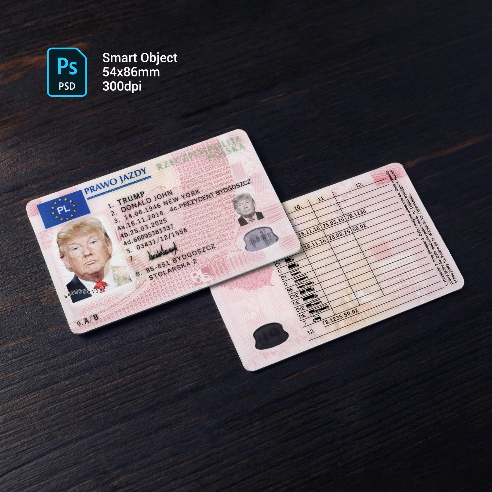 Poland Driver License 2013+