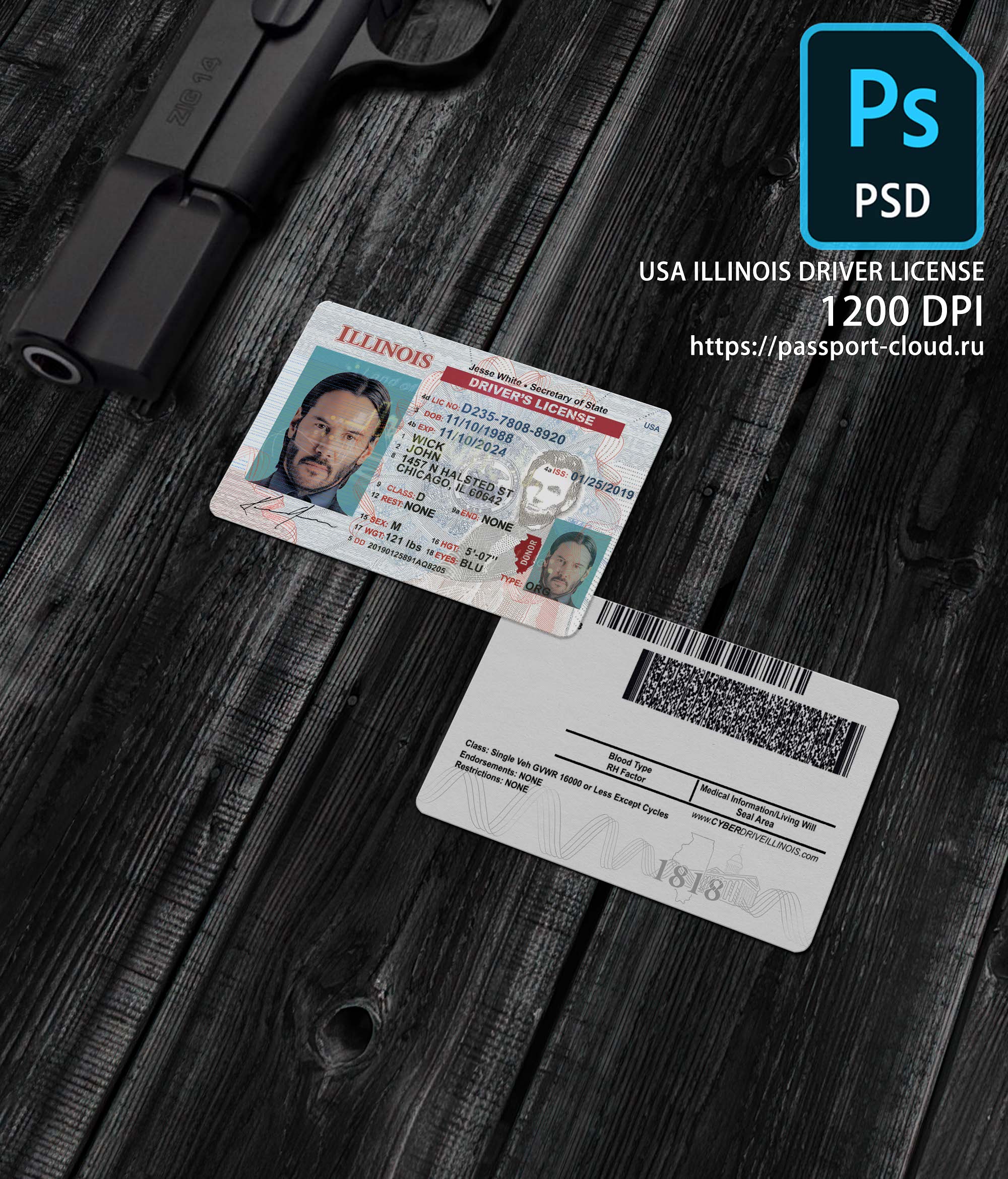 Illinois Driver License NEW