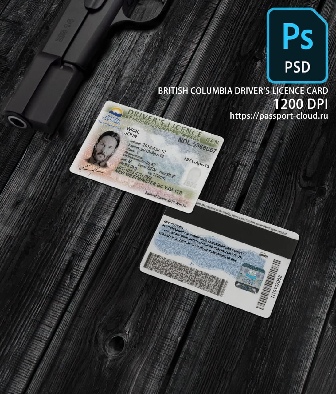 British Columbia Driver License  NEW