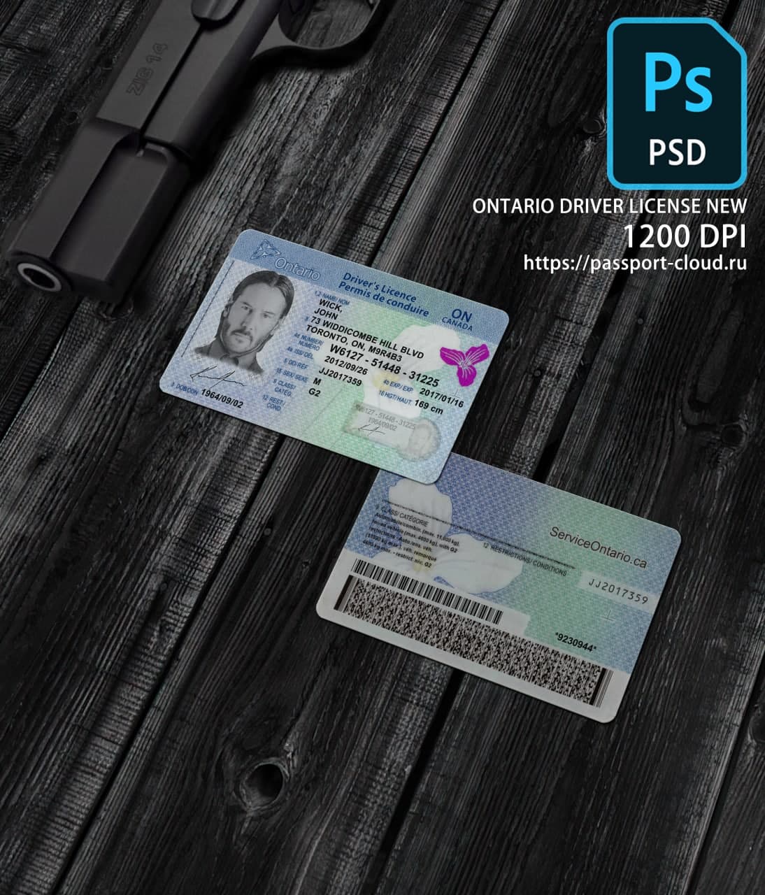 Ontario Driver License NEW