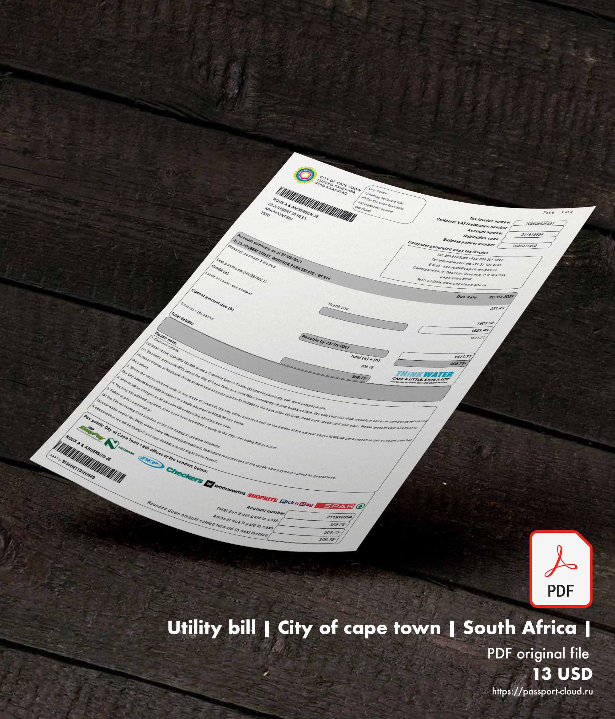 Utility bill | City of cape town | South Africa |