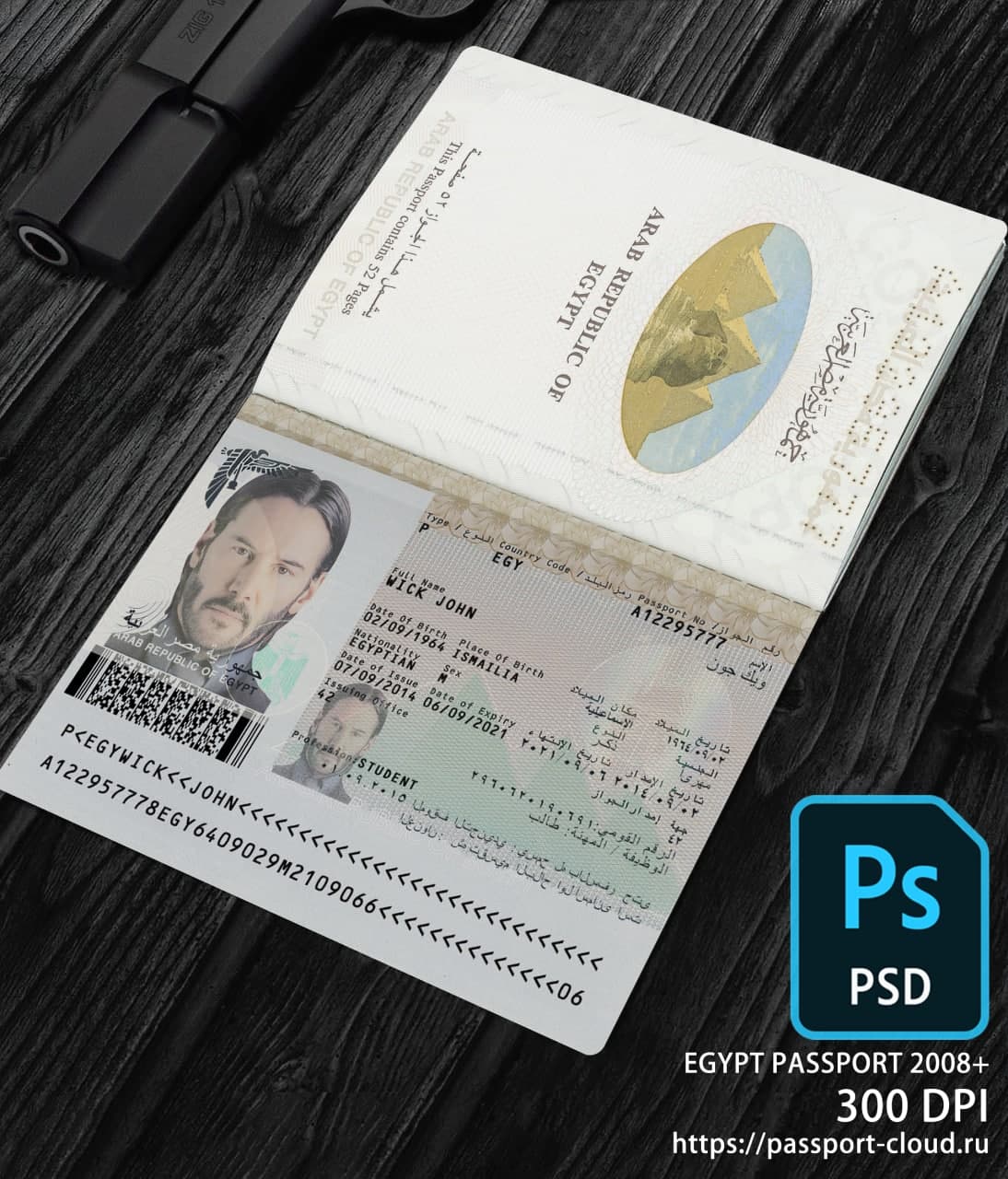 Egypt Passport 2008+