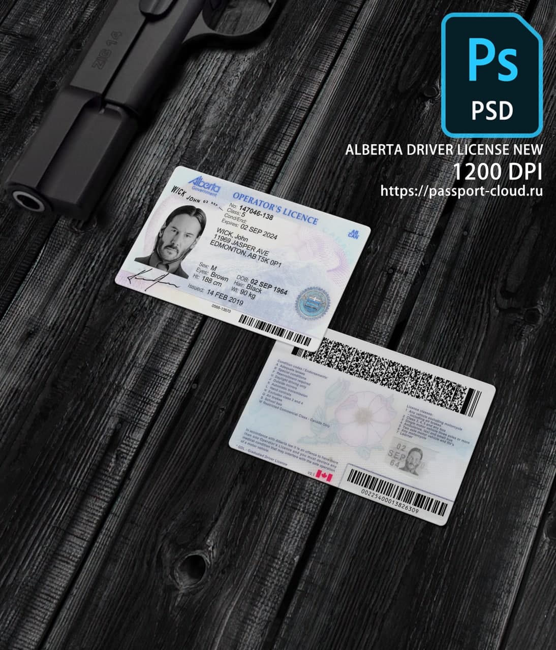Alberta Driver License NEW