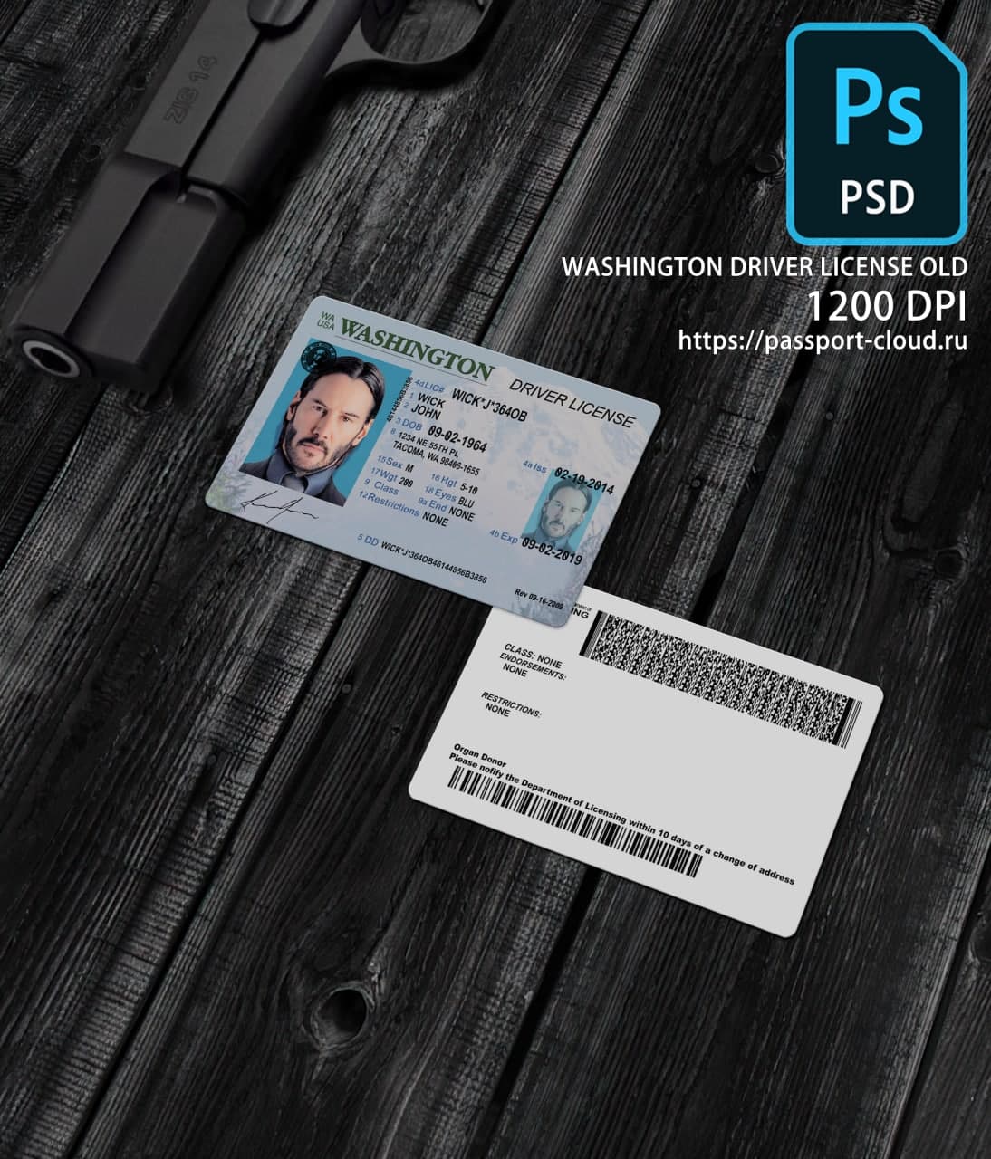 Washington Driver License OLD