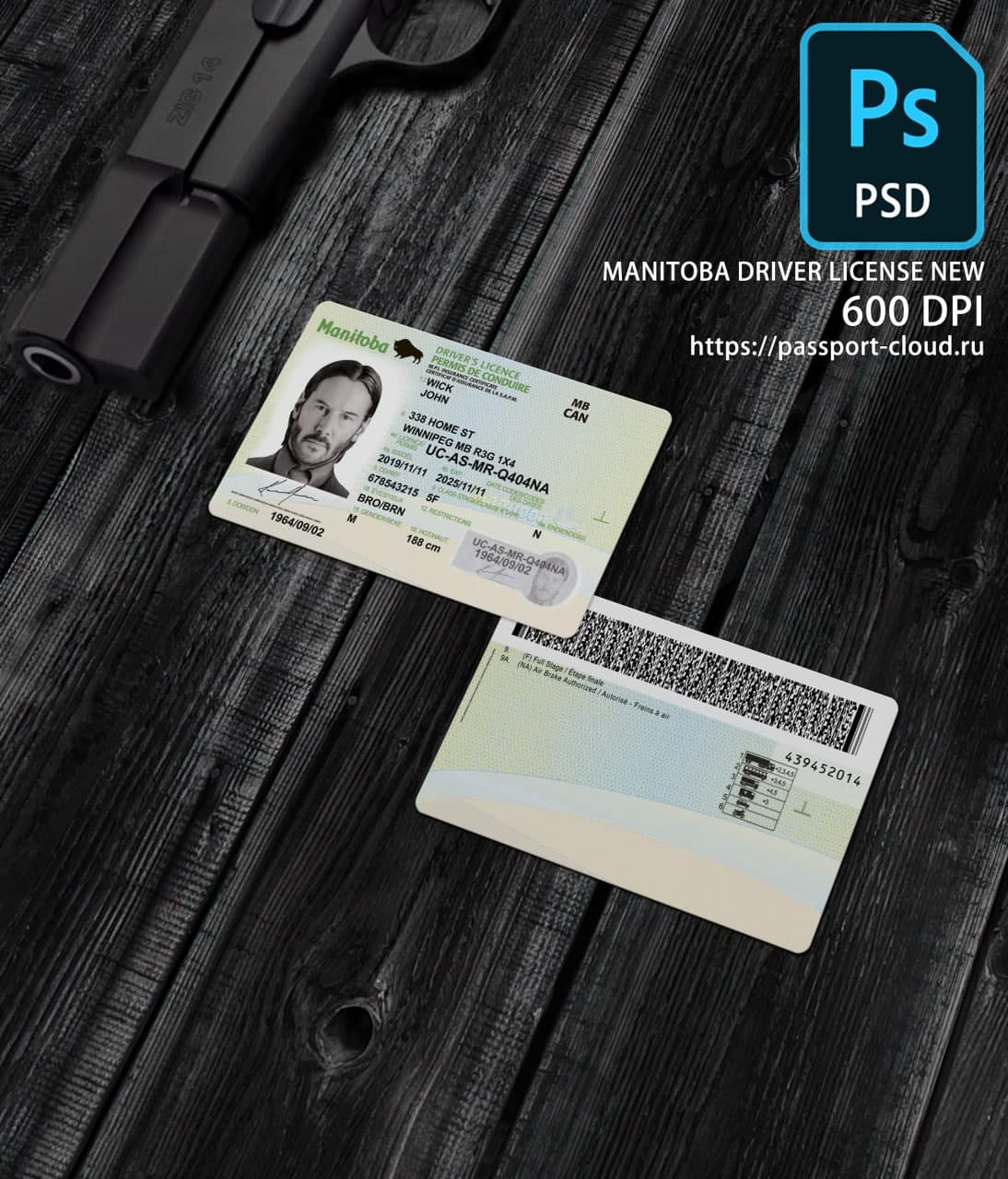 Manitoba Driver License NEW