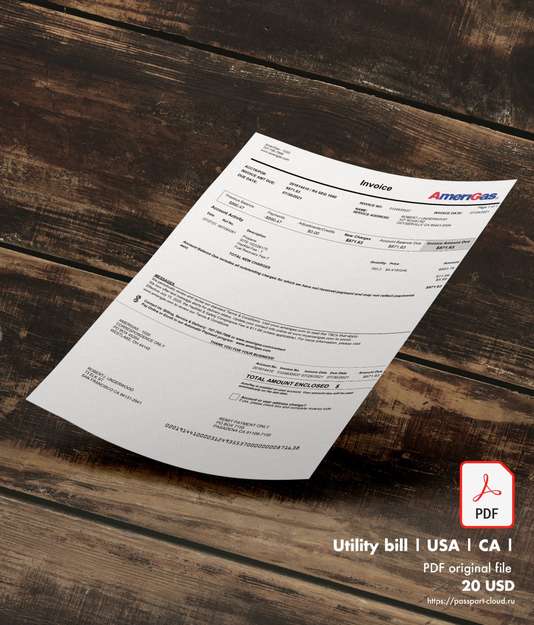 United States of America Bill Template