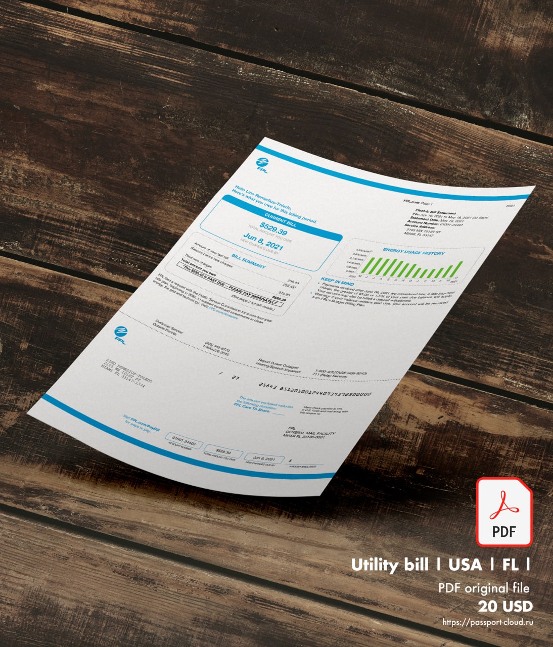 Utility bill | FPL | USA | FL