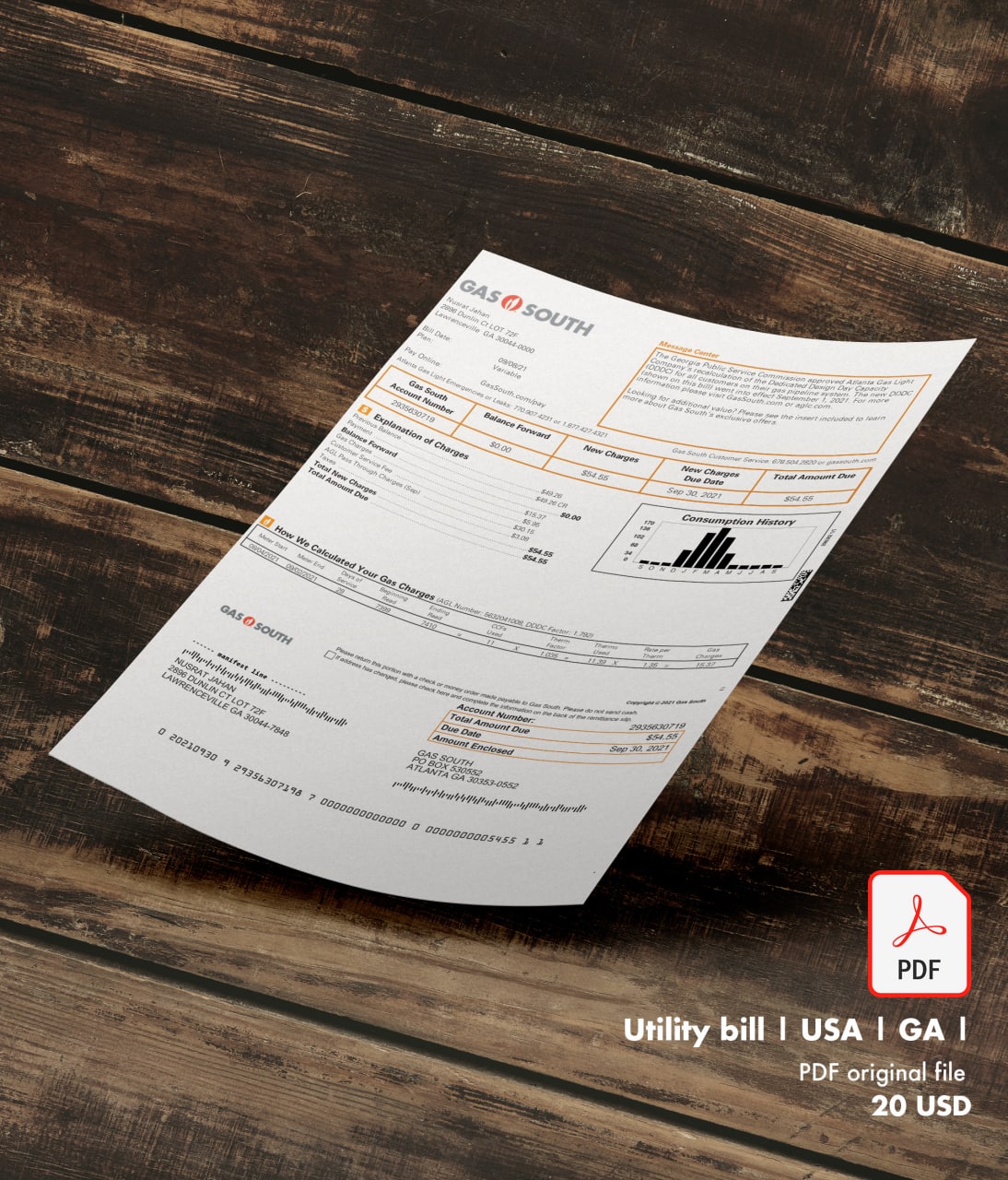 Utility bill |  GASSOUTH | USA | GA