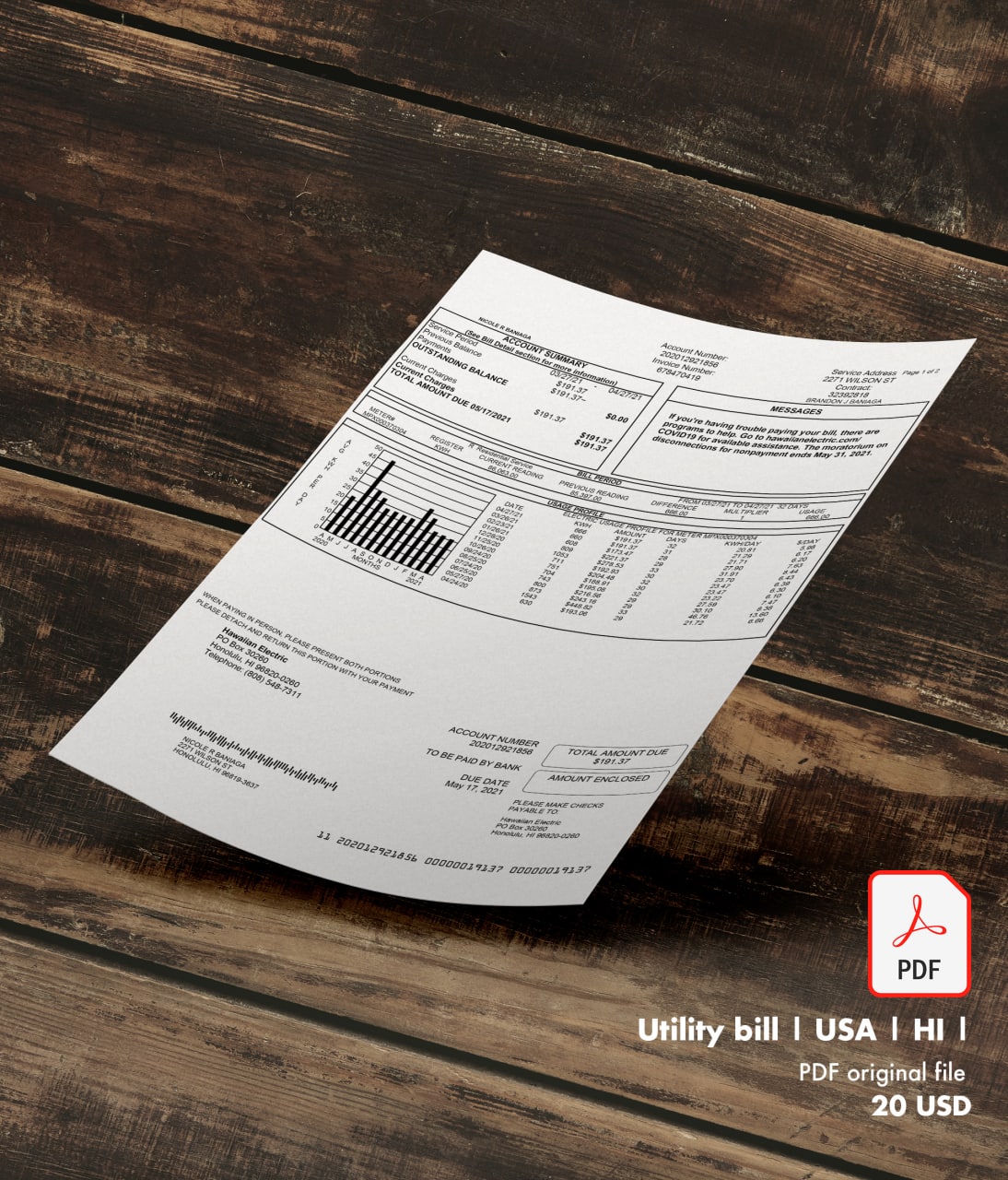 Utility bill |  Hawaii an Electric | USA | HI