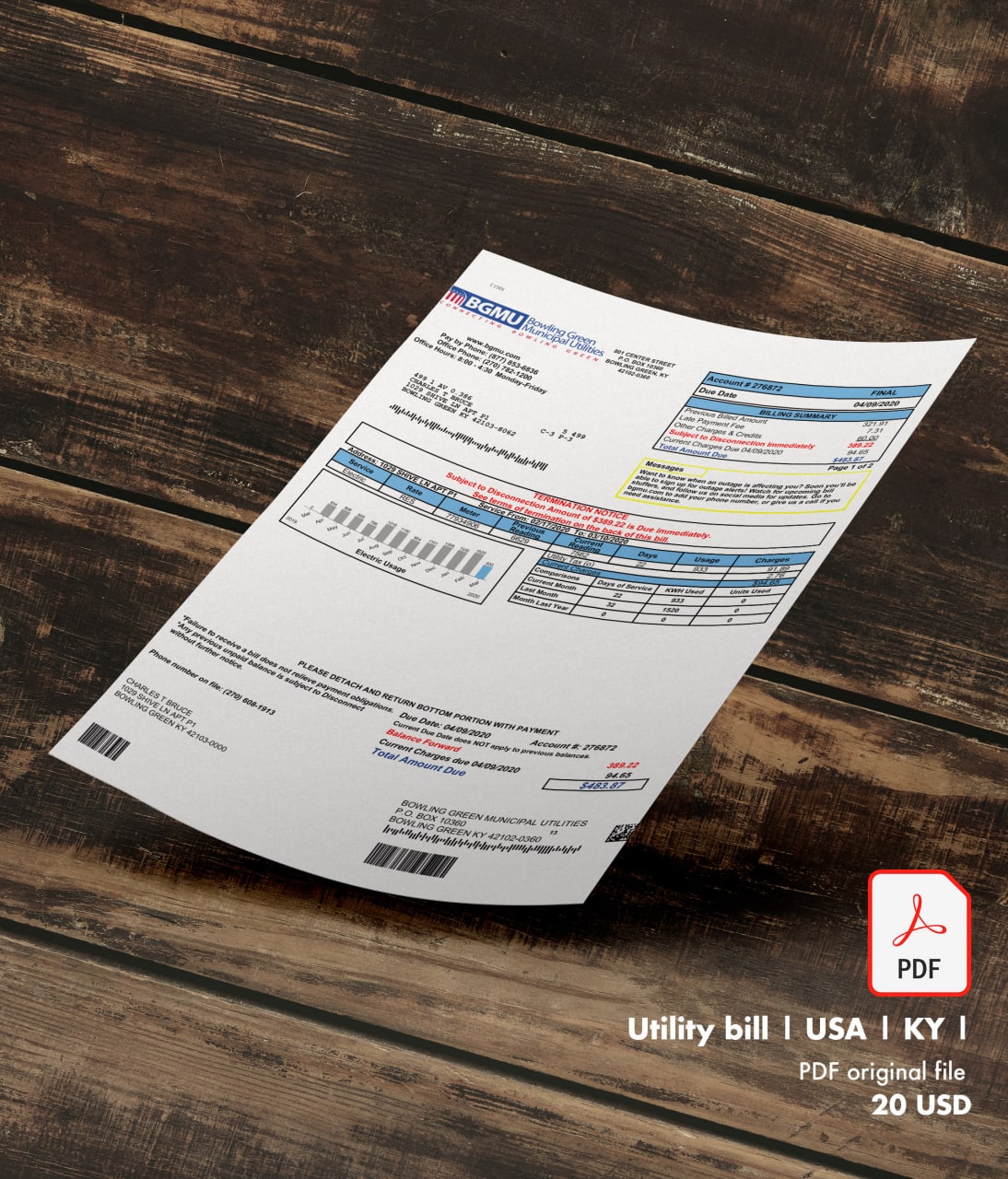 United States of America Bill Template