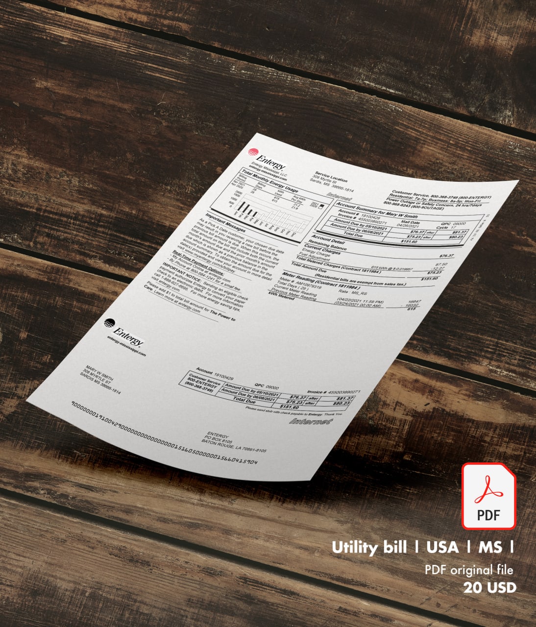 Utility bill | Entergy | USA | MS